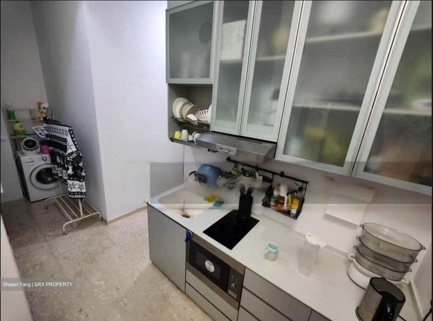 Parc Elegance (D15), Apartment #470802611